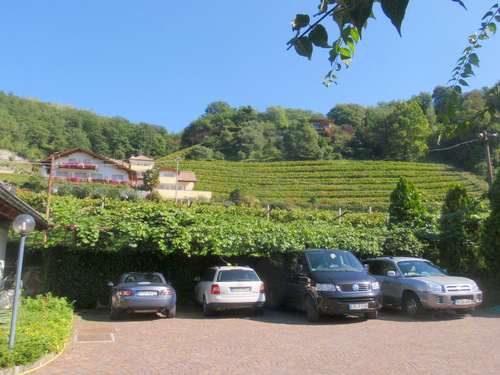 A view uphill from Restaurant am See Park Hotel.